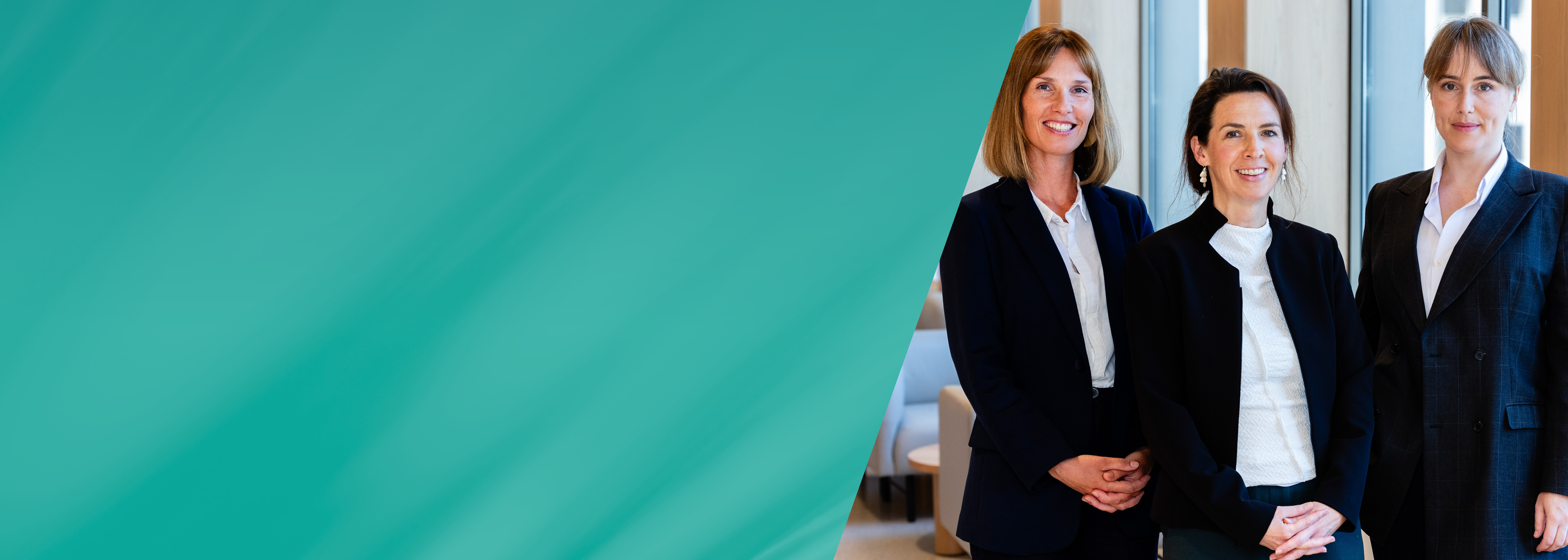Pro Bono Banner