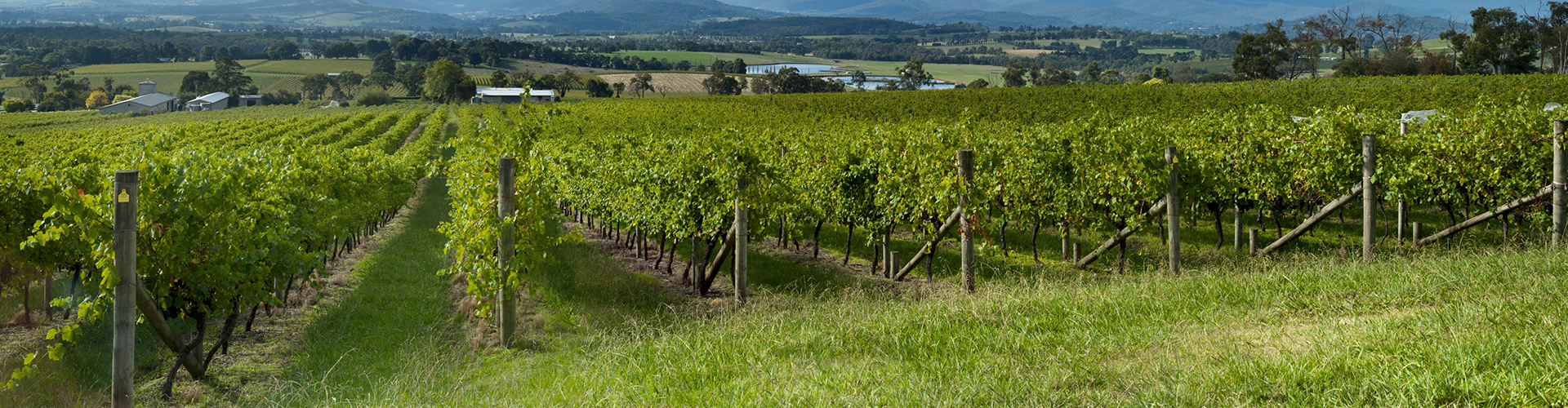 Yarra Valley, Victoria