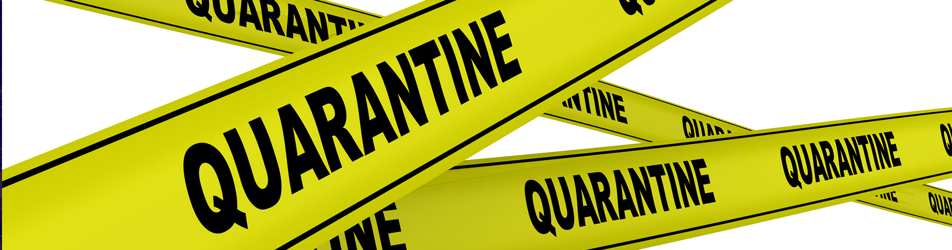 quarantine-banner-image-1900-x-500
