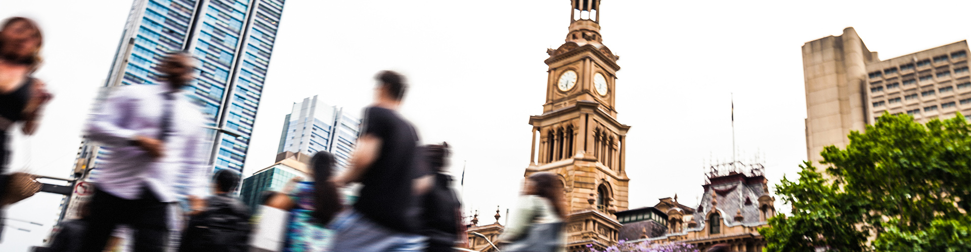 sydney downtown - Insights - banner - 1900 x 500