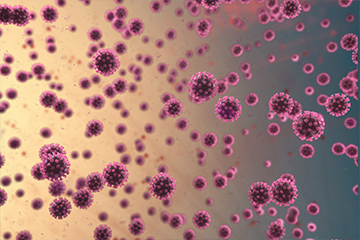 coronavirus-thumb-360x240