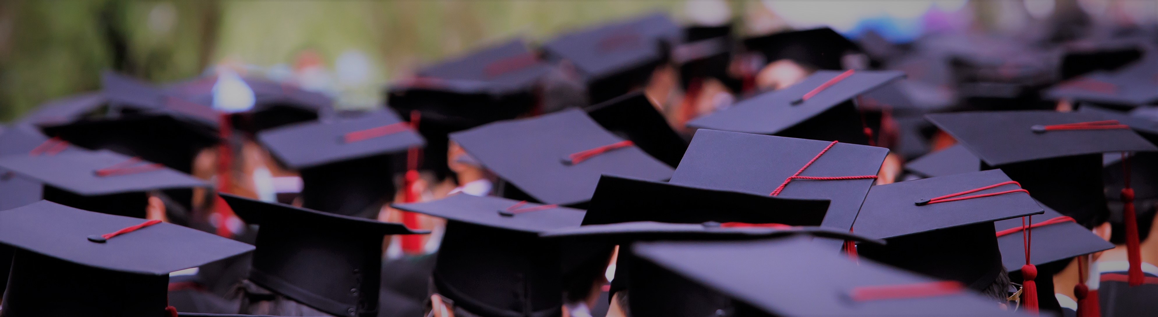 Law Graduate Hat